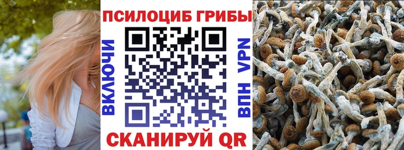 Псилоцибиновые грибы мицелий как найти Яранск